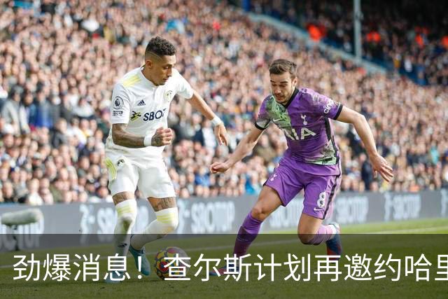 劲爆消息！查尔斯计划再邀约哈里一家会面，是否邀请梅根，则待定