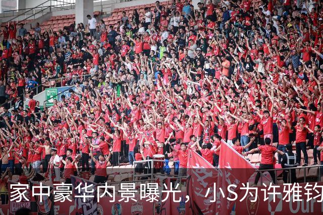 家中豪华内景曝光，小S为许雅钧庆祝生日，长得越来越像姐姐大S了