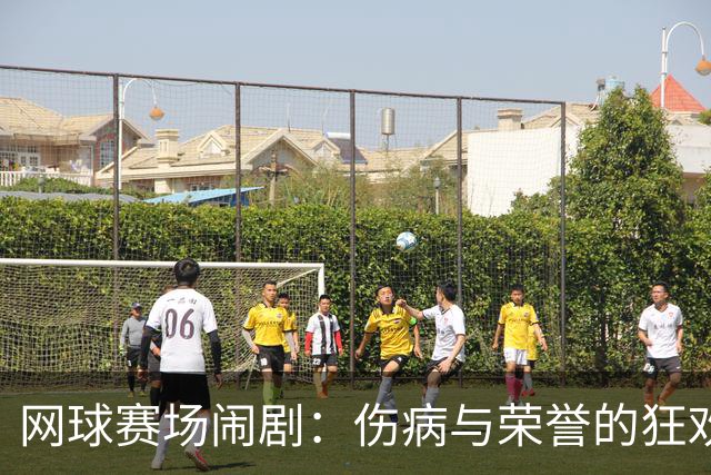 网球赛场闹剧：伤病与荣誉的狂欢之舞